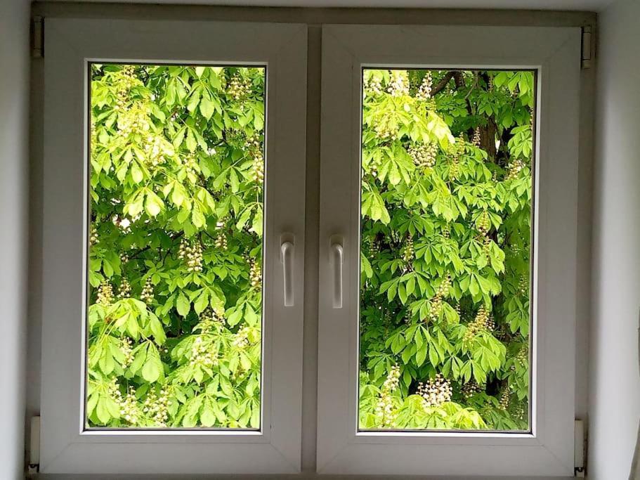 White Door Apartments Heart Of Odessa 4 المظهر الخارجي الصورة